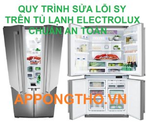 Tủ Lạnh Electrolux Lỗi 5Y Đừng Để Máy Gặp Nguy Hiểm